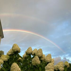 Meet your Posher Allegra